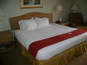 Quality & Hotel